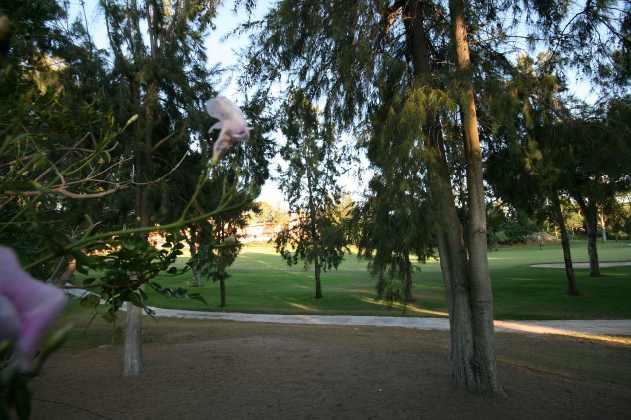 Greenlife Village Marbella Bagian luar foto